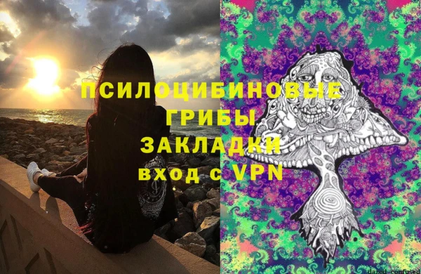 дурь Саяногорск
