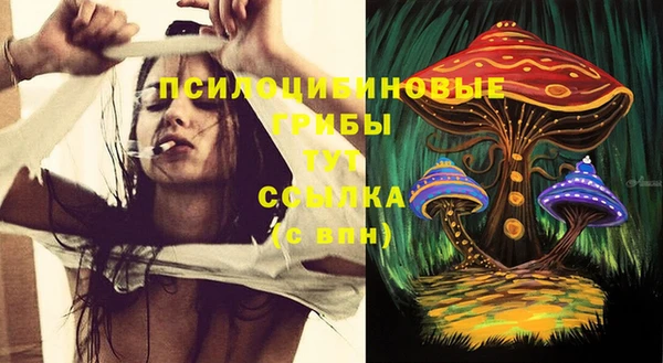 jwh Аркадак