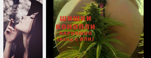 трава Алзамай
